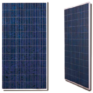 300 Polycrystalline Solar Panel